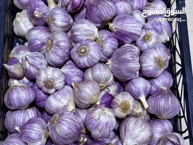 ثوم عماني بجودة عاليه