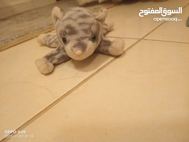 قطة لعبة للأطفال