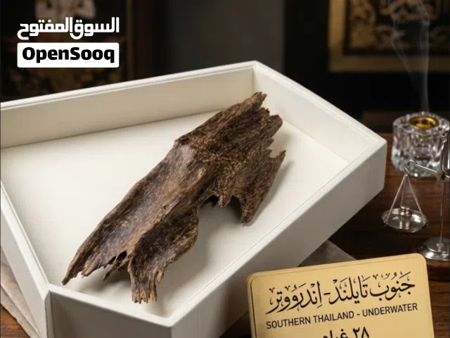 جنوب تايلند اندرووتر