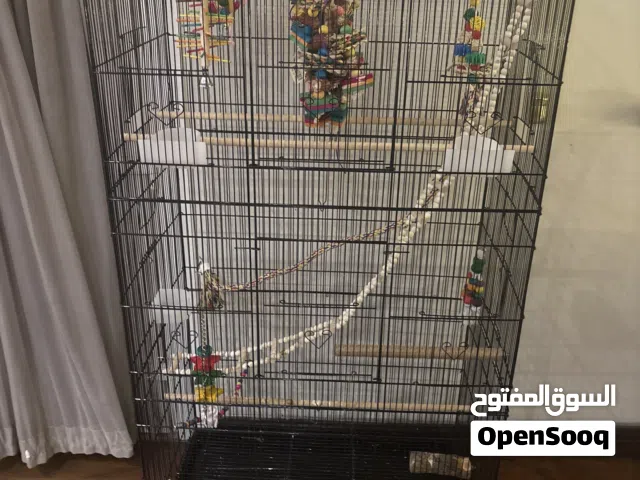 Bird cage and bird stand combo