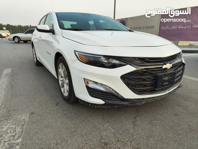 شيفروليه ماليبو وارد أمريكي لون أبيض 2023 (S)