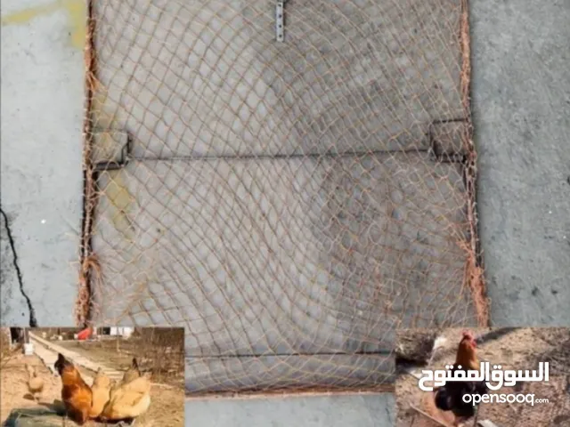 مصيدة الطيور والحمام رائعة جدا وممتازة للبيع........................