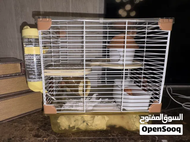 هامستر أبيض عمر 3 أشهر مع قفص كامل وبيت فطرة ومستلزماته