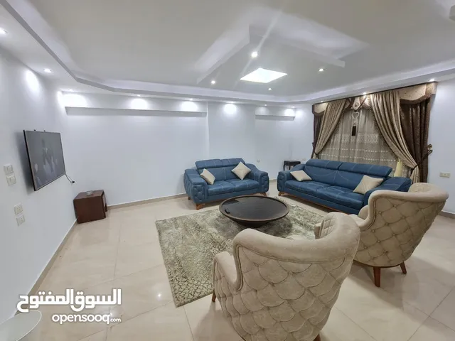 250 m2 3 Bedrooms Apartments for Rent in Cairo Nasr City