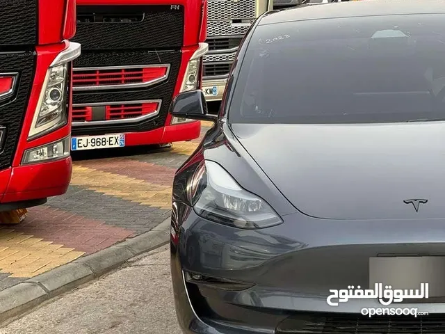 TESLA MODEL 3 Long Range dual motor