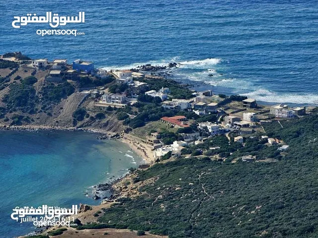 ارض بحرية للبيع في كاب نيقرو معتمدية نفزة ولاية باجة