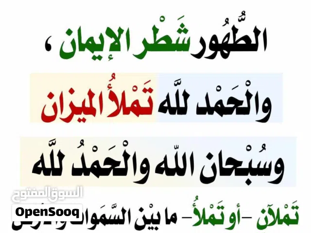 مطلوب مول للبيع بسعر مناسب