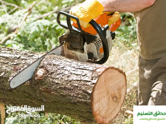 يوجد خدمة تنظيف وقص الاشجار والنخل بالمنشار البنزين