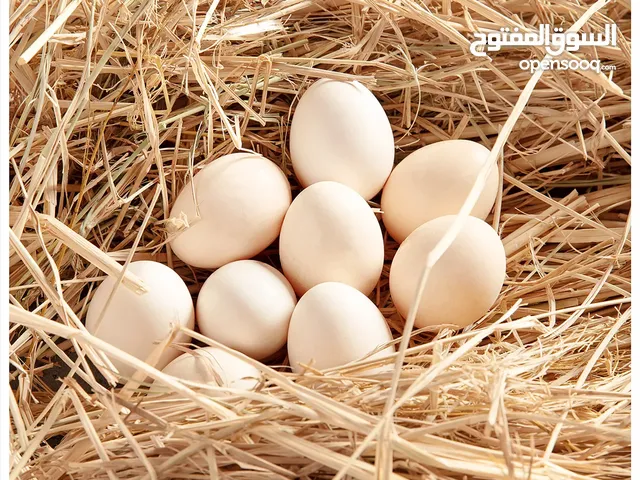 بيض بلدي للمائده
