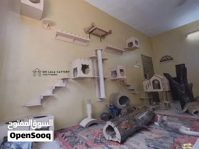 Cat sitter CatCare Cat Boarding Cat Hotel Cat Vacation Cathomecare