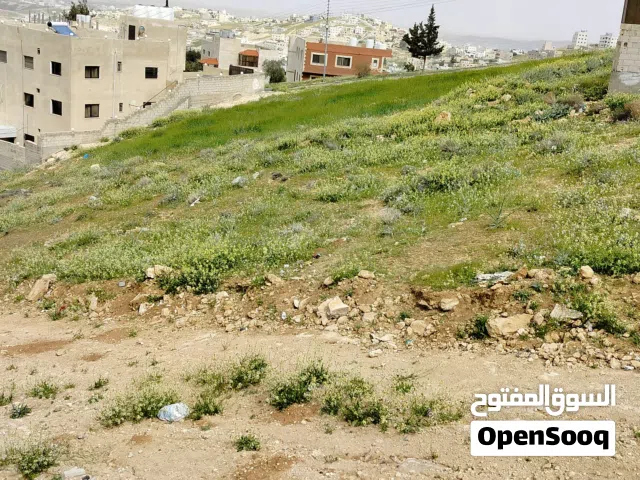 Residential Land for Sale in Zarqa Graiba