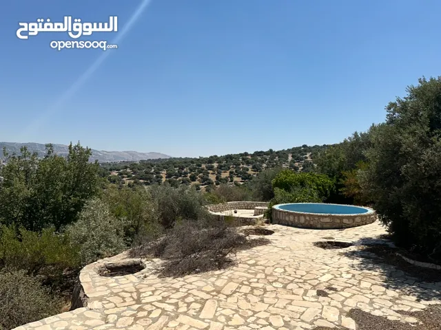 1 Bedroom Farms for Sale in Salt Al Subeihi