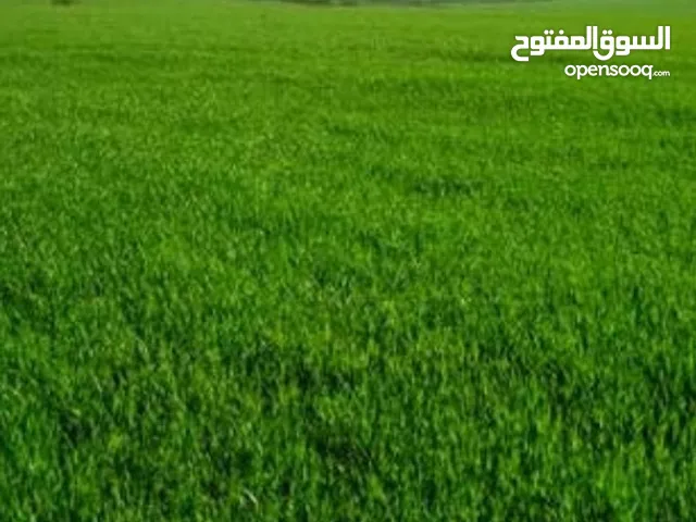 Mixed Use Land for Sale in Irbid Al Sareeh