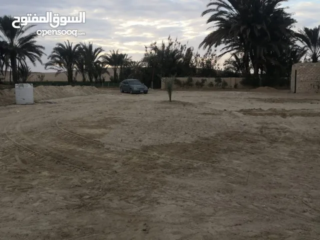 Commercial Land for Sale in Fayoum Tamiya