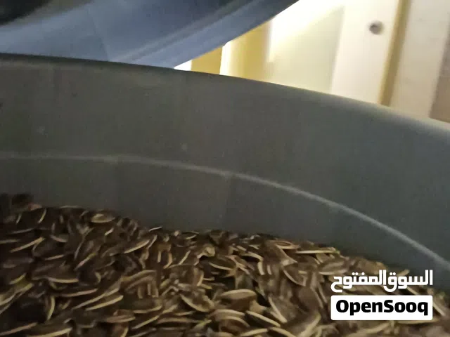 اكل لطيور حب الفساد