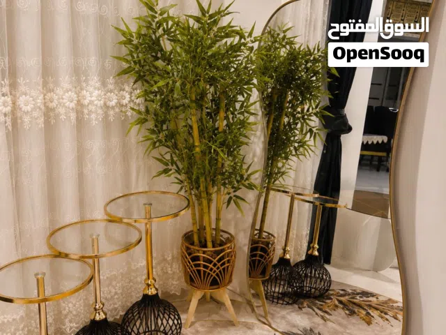 مرايا مع شجره اصطناعيه مع طبلات