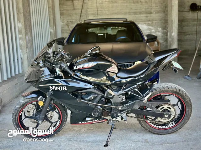 kawasaki ninji250sl-2017