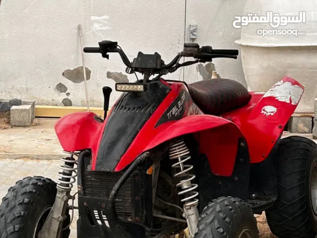 بولارس تريل بلازر 330سي سي. موديل 2008