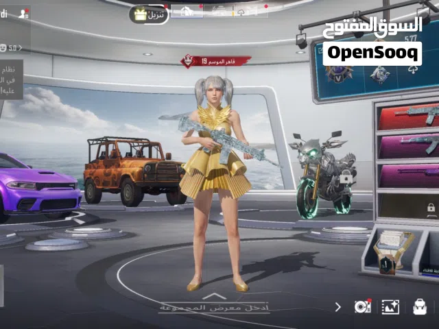 Pubg Accounts and Characters for Sale in Al Batinah