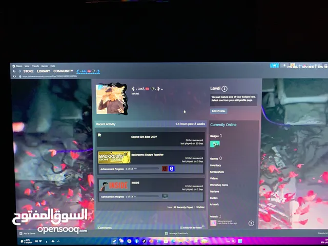 Steam Accounts and Characters for Sale in Hebron