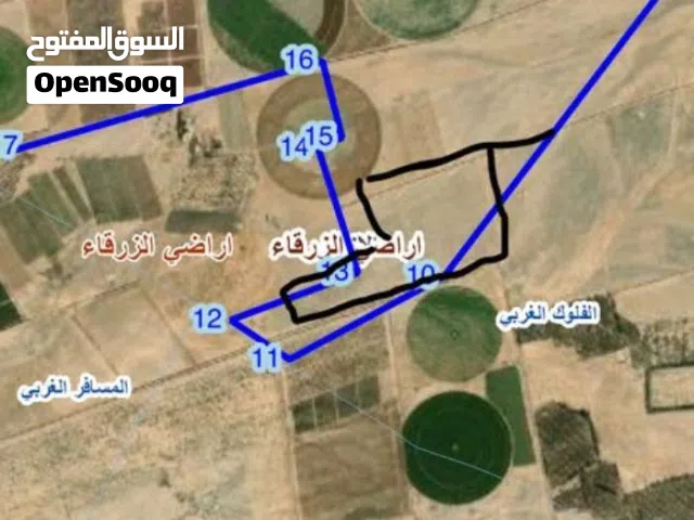 Farm Land for Sale in Zarqa Azraq
