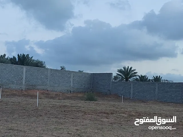 قطعة أرض للبيع طريق مشتل قرب مسجد دار الهجره موقع ممتاز وسعر اقل من سعر سوق