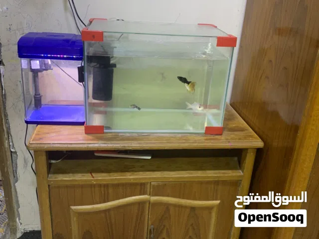 حوض اسماك نظيف و جديد هوه واسماكه