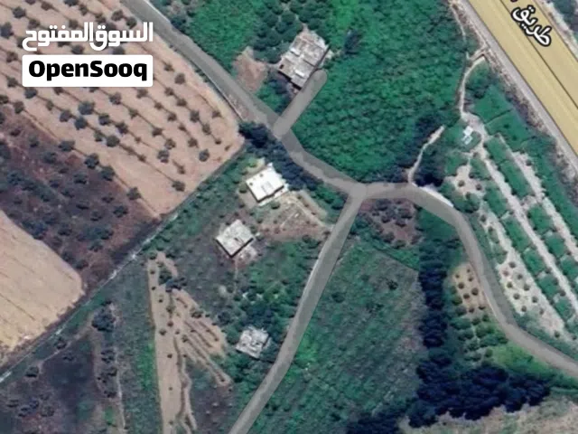 Mixed Use Land for Sale in Latakia Al-Haffah
