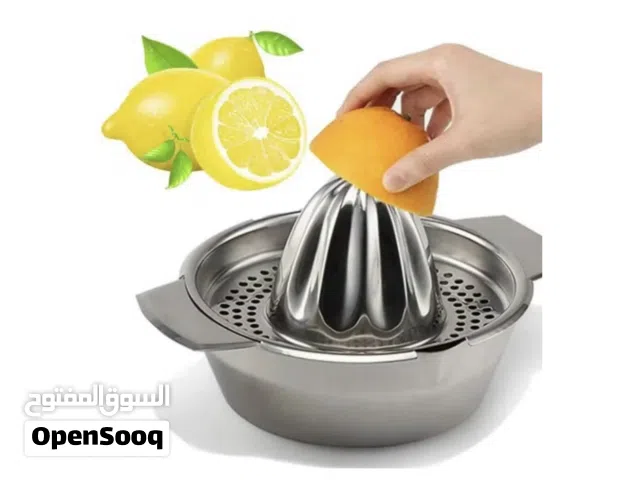 Stainless Steel Fruit Juicer