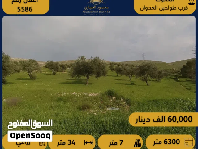 Farm Land for Sale in Zarqa Al-Alouk