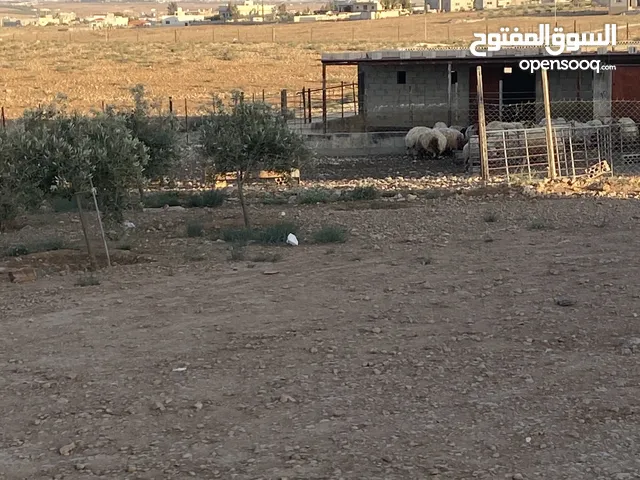 Residential Land for Sale in Mafraq Mughayyer Al-Sarhan