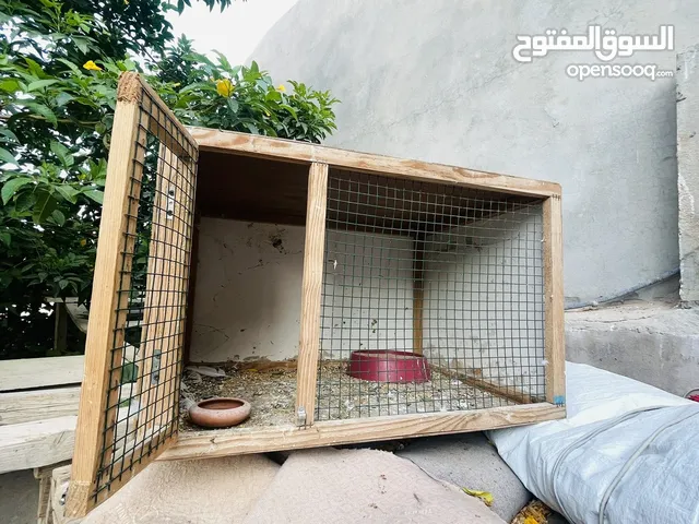السلام عليكم متاح