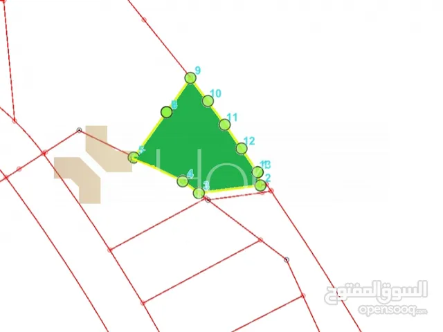 Commercial Land for Sale in Amman Airport Road - Manaseer Gs