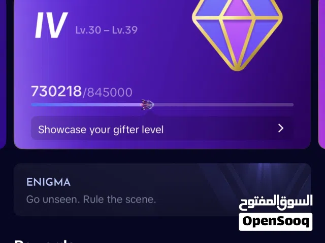 Tiktok level 30 UAE account for sale