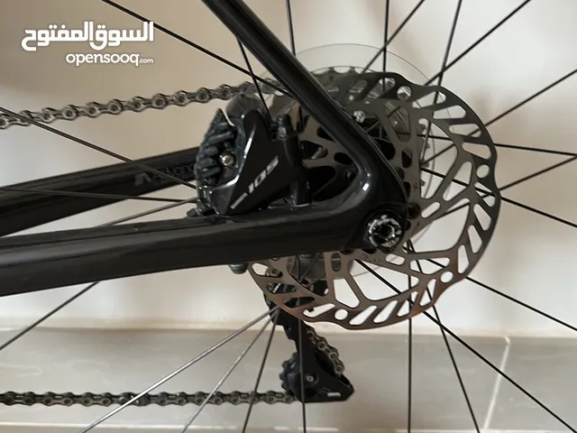 Giant bicycle