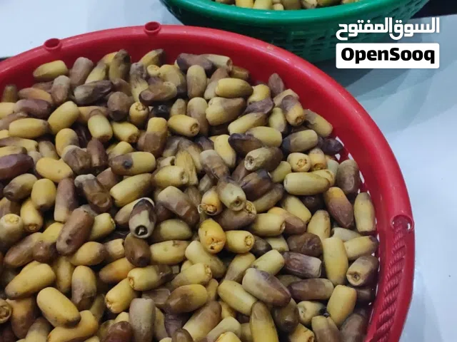 رطب نغال ما شاء الله