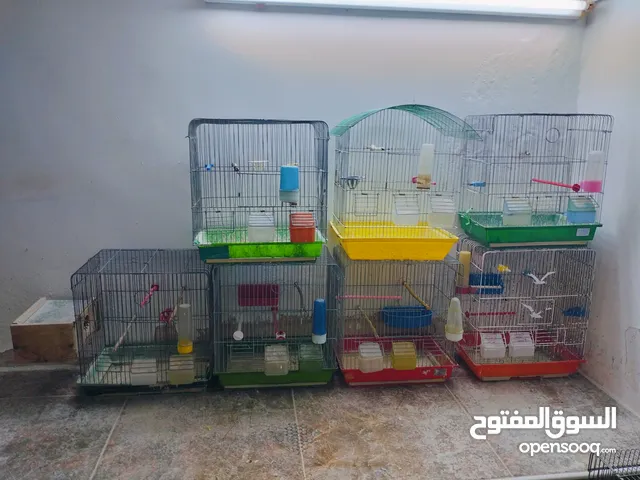 اقفاص واغراضهم