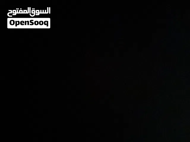 لقيت قط ضائع في سوق بركاء