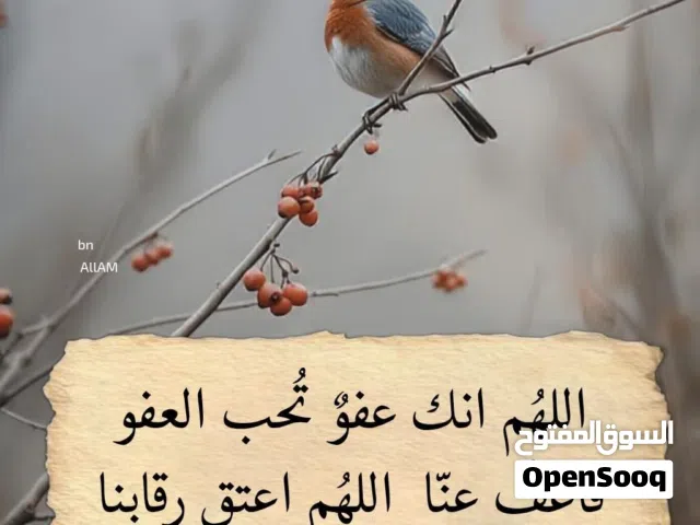 قطعة أرض للبيع