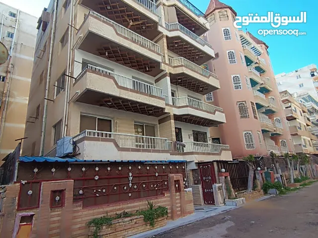 200m2 2 Bedrooms Apartments for Sale in Alexandria Nakheel