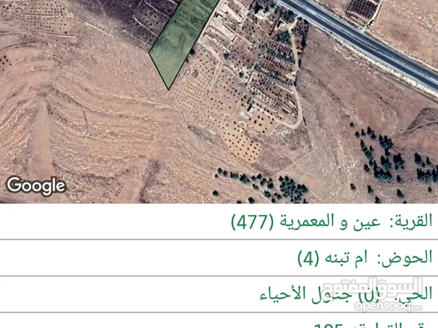 Farm Land for Rent in Mafraq Ain wa Al-Ma'mariyyeh