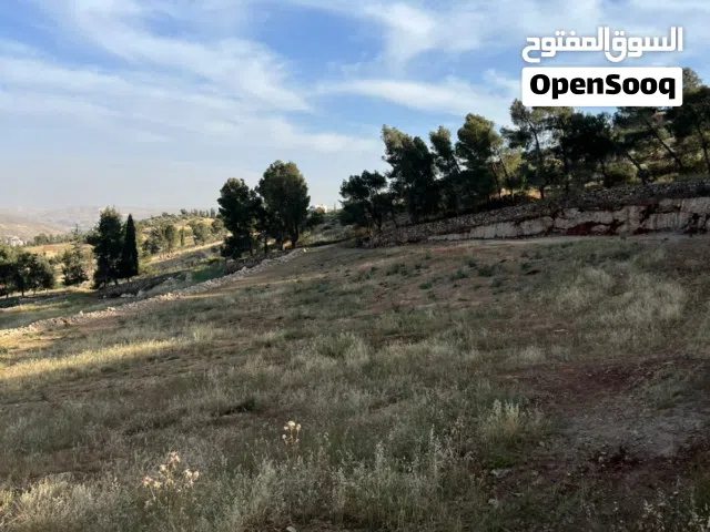 تملّك الفرصة الآن - 3.5 دونم في اجمل مناطق دحل قرب اوستراد الزرقاء جرش