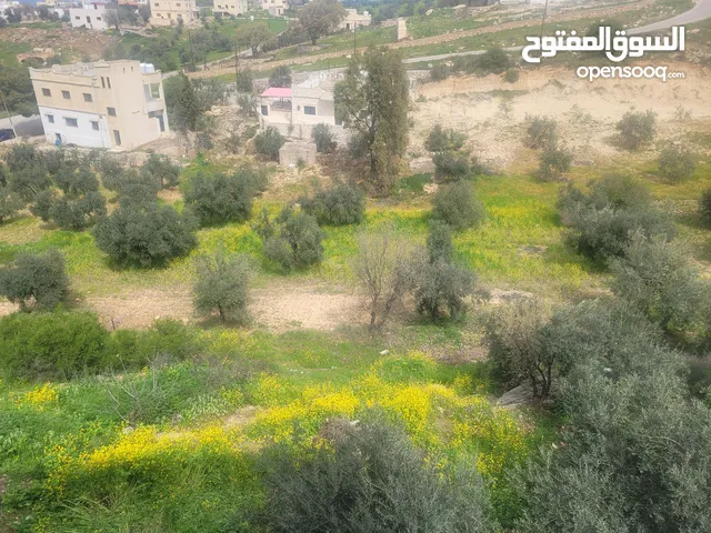 دونم أرض للبيع في منطقة الراية مرصع قريبة قريبة من شارع عمان جرش