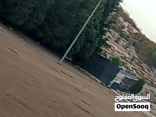 قطعه ارض في اجمل احواض بدران الذهبيه للبيع
