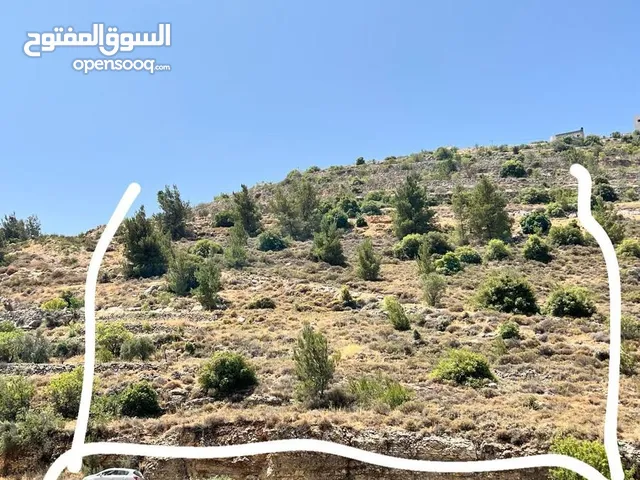 Mixed Use Land for Sale in Hebron Beit Kahil