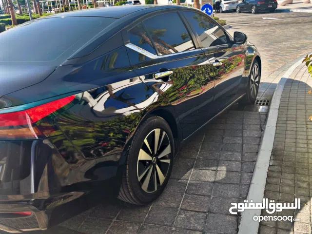 التيما للبيع