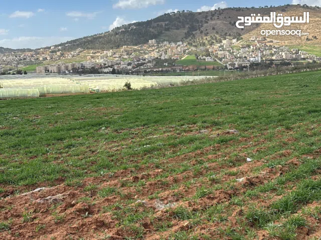 ارض للبيع في ابونصير داخل التنظيم