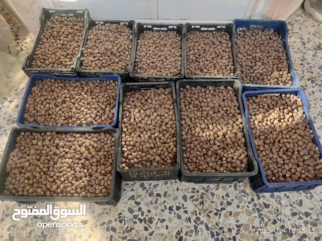 تمر برحي للبيع