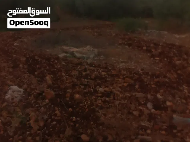 ارض طابو للبيع في جيوس