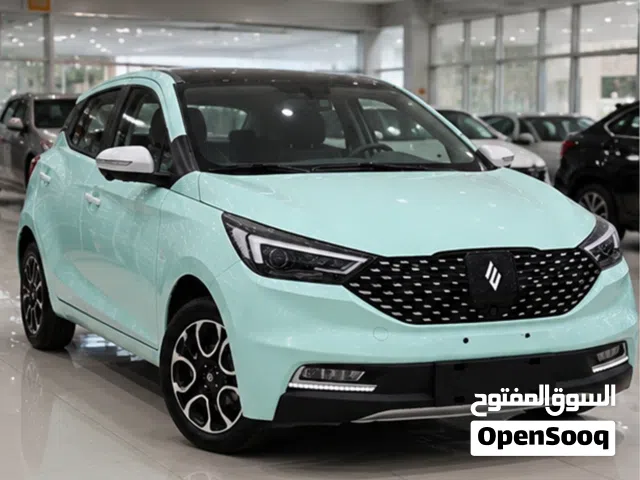 2026 JMEV EV3